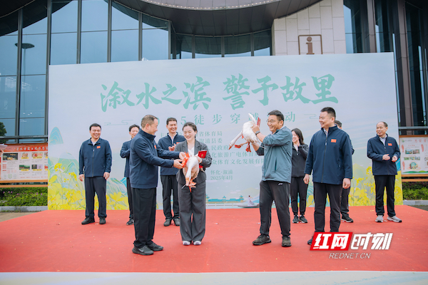 WechatIMG310.jpg WechatIMG310.jpg