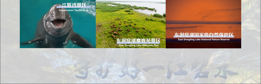 截屏2025-05-25 18.14.56.png