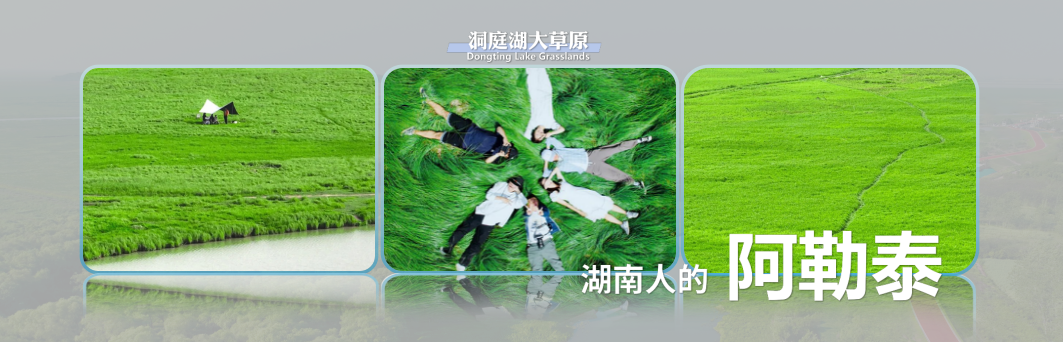 截屏2025-05-25 18.16.10.png