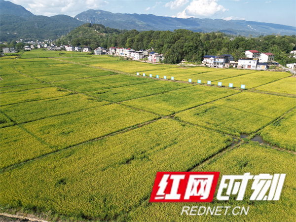 d872c7b0a5b26035d020945be0803068_副本.jpg