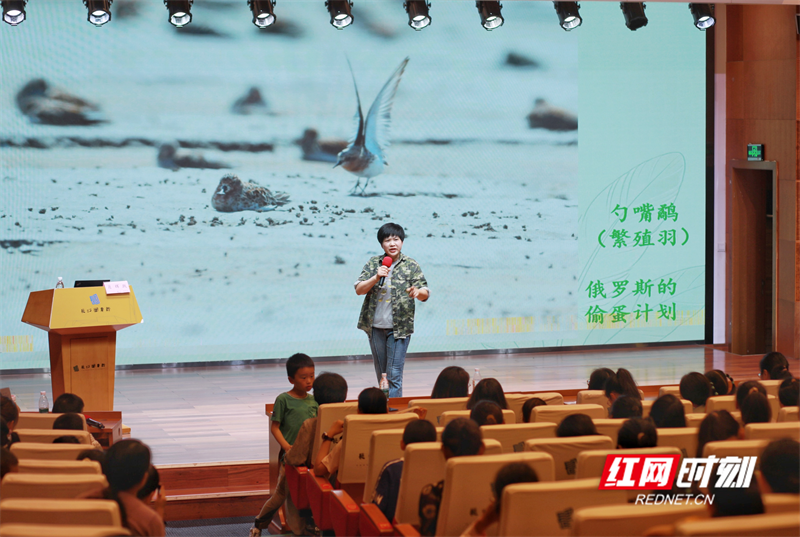 图片2_副本1.png