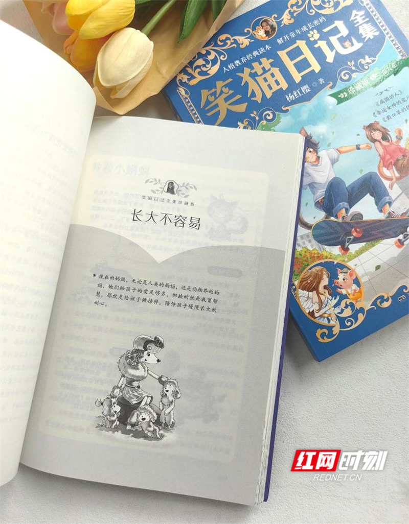 图片9.png 图片9.png