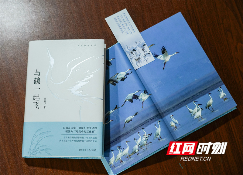 鹤.jpg