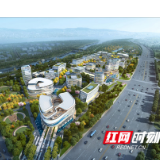 强劲中国“芯”  望城“产业攻坚博士团”助推新一代半导体腾飞