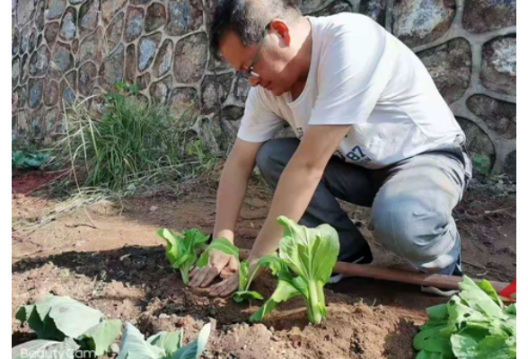 农耕教育体验 劳动收获田园乐