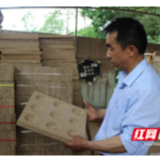 抗争病魔 拔掉穷根 这个“励志哥”不简单