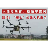 视频 | 稻怕寒露风，“暖心”的无人机来了