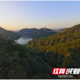 森林覆盖率55% 长沙“十三五”绿色答卷美了