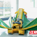 一分钟采摘一棵树 我国首台油茶果采收机正式进入产业化