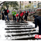 党员躬身行 让党旗在铲雪除冰一线高高飘扬