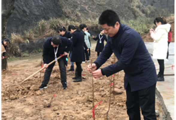 种下“湘民树”开出“兴联花”，携手建设“四精五有”品质城市