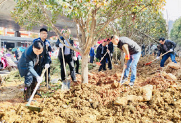 万家丽北路“祛斑”新添4900平方米银杏园