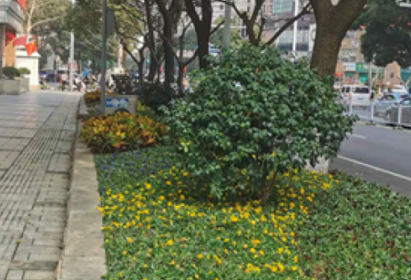 清水塘街道：奋战半个月 品质大提升