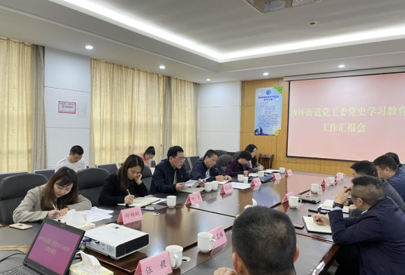 市委党史学习教育第一巡回指导组下沉开福区沙坪街道指导