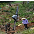 以赛促学、以学促知、以知促行 浏阳沙市镇多措并举推进党史学习教育走深走实