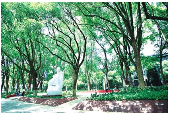 以绣花功夫践行公仆意识——长沙市开福区大力推进“精美开福”建设提升品质生活