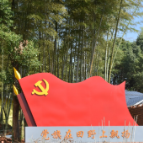 组图 | 文明先行 扮靓干杉