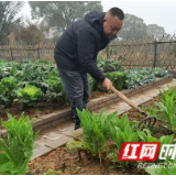 新春走基层 | “知天命”之年，他的余生在泥土里滚烫