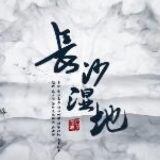 视频 | 醉了！长沙有一种美令人过目不忘