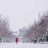 最低-6℃，长沙两轮大暴雪，出门拜年请穿长筒靴