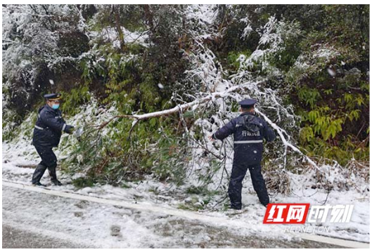 组图 | 长沙县以雪为令 全力防范应对低温雨雪天气