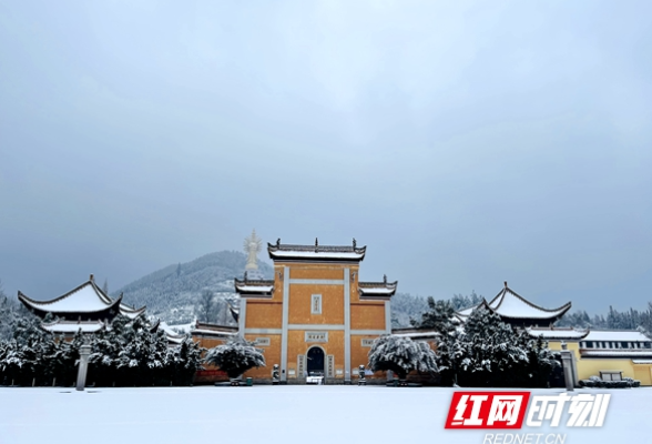 组图丨雪是大浪漫，宁乡小人间