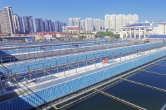 金霞污水處理廠擴容提標一期工程順利接駁通水