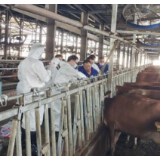 非凡十年｜长沙疫控：为粮食安全和动物产品稳定供给保驾护航