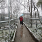 浏阳沿溪：风雪中的守护，满屏“雪融容”让3.2万群众平安回家