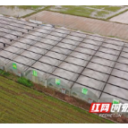 长沙县：疫情防控下，有序保障生产经营