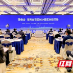 “强省会”在行动！湖南自贸区长沙县区块签约38个重大项目