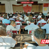 讲党课、扬典型、开展志愿服务......多彩党建活动让党旗更红