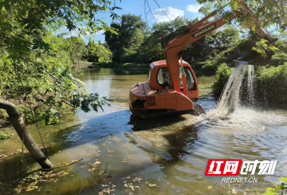 长沙县路口镇：干群同心护秋收