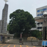 湖南师大附中校长谢永红：让梦想照亮我们的生活