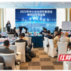 制造业单项冠军如何炼成？长沙为中小企业送出“秘籍”