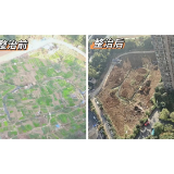 6600平方米违规菜地被铲除 化解居民“烦心事”