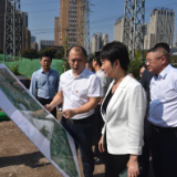 序化 净化 美化 罗玉环调度开福区市容环境整治工作