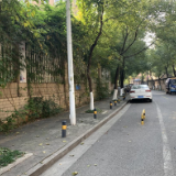 主动出击灭除白蚁 共护维护美好家园