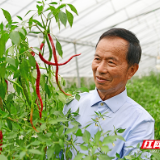 湖南好人 | 杨意红：60余年初心不改，一辈子“火辣”奉献