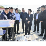 吴桂英：把基层党组织建设成坚强战斗堡垒 切实以高质量党建引领乡村全面振兴