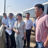 罗玉环调度开福区市容环境整治工作