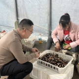 优化营商环境  助力企业长效发展