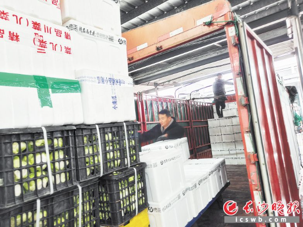 QQ截图20231219091433.png