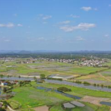 “红色引擎”强驱动！青山大地劲吹项目建设春风