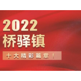 海报 | 2022年桥驿镇“十大精彩篇章”，你都见证了哪些？