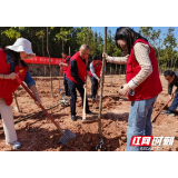 志愿服务“树”清廉 党建引领倡文明