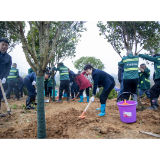 手植一抹绿 芳香满开福 开福区2023年义务植树活动正式启动