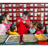 闻香识本草 巧手制香囊