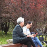城市绿心扮靓好春光