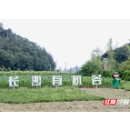 用好认证认可工具！推动长沙高质量发展
